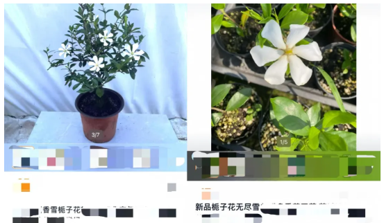 62634cfe-a2e9-473c-bd66-7910c63dd493.png