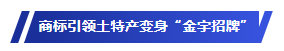 db10ee0b-da93-4040-a7e5-807b356ea042.png